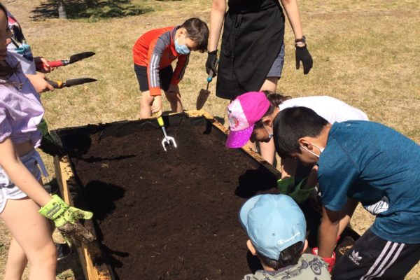 Jardin 16 Jardin 16