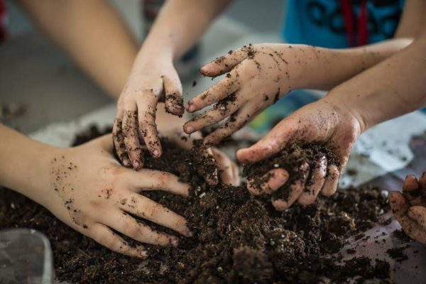 53501957_1839319416172106_64042304595296256_n